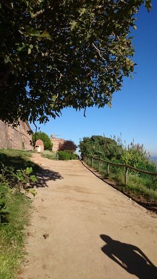 Panoramaweg am Mont  juïc