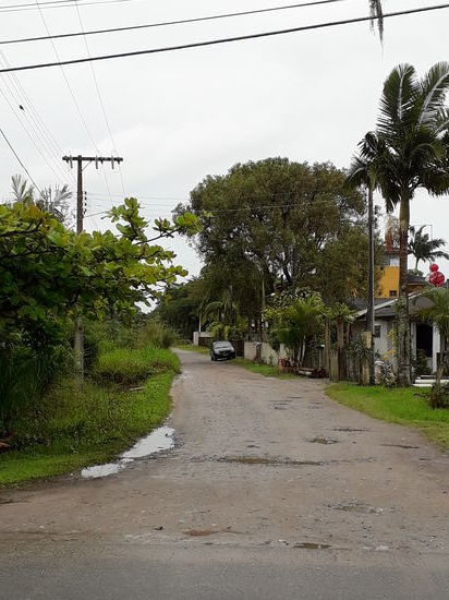 Nur das Grün das von einer immensen Intensität ist, verleiht dem grauen Tag Freundlichkeit