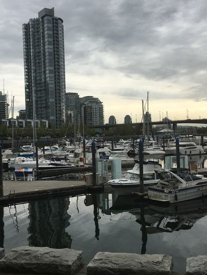 Da stehen viele Schätze!!!! 