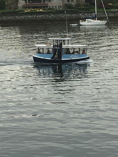 Diese lustigen Boote finde ich super 