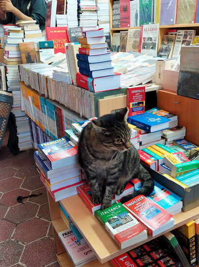 Der Chef des Büchermarkts