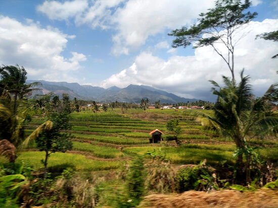 Irgendwo in den Bergen von Java