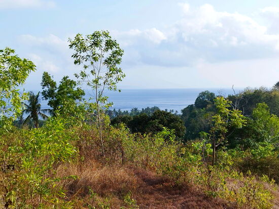 Blick über Nusa Penida