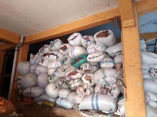 Im Pasar Beringharjo - sackweise Gewürze