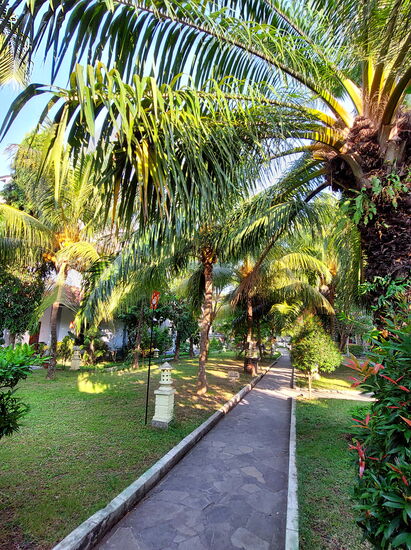 Im Garten des "Puri Saron Senggigi"