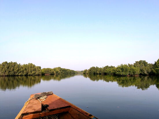 Unterwegs in den Mangroven