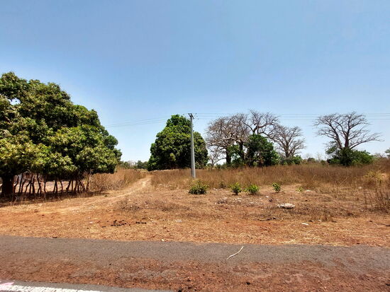 Irgendwo an der Straße zwischen Bintang und Brikama