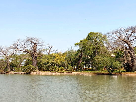 Baobab Island
