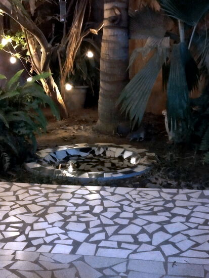 Abendlicher Besuch einer Riesen-Hamsterratte