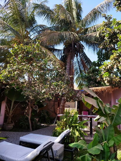 In der Mandinka Lodge