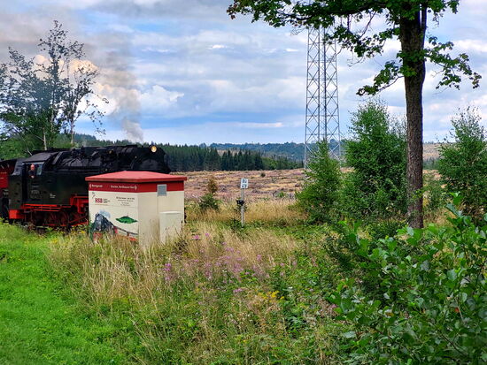 Dampflok der Harzbahn
