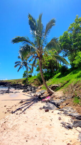 Anakena Beach