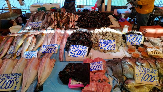 Fischmarkt in Valdivia