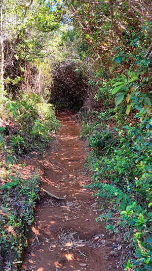 Im Naturschutzgebiet Punta Curiñanco