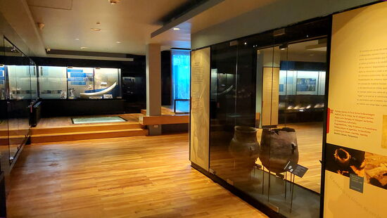 Mapuche-Museum in Temuco