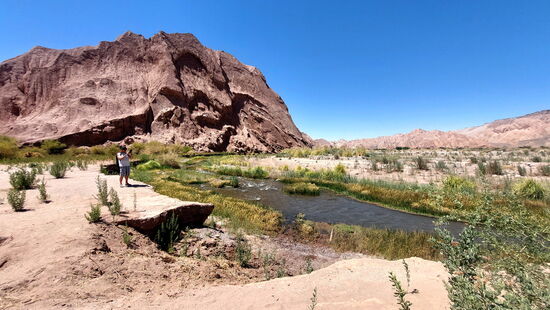 Im oberen Tal des Río San Pedro