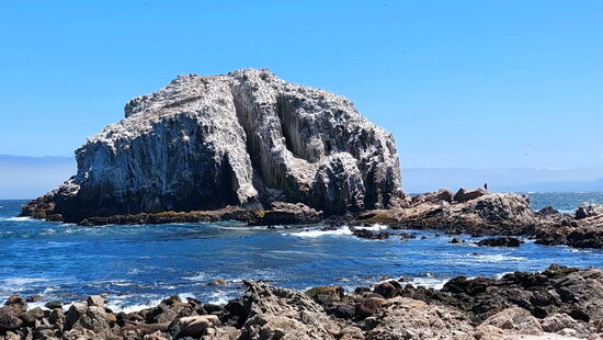 Vogelfelsen in der Bucht von Algarrobo