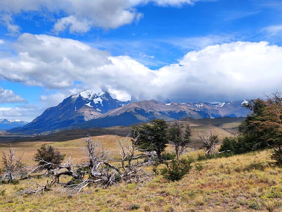 Wanderung im Puma-Land