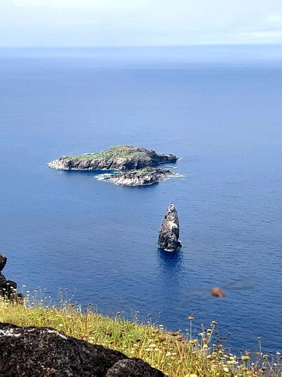 Blick zur "Vogelmann-Insel"