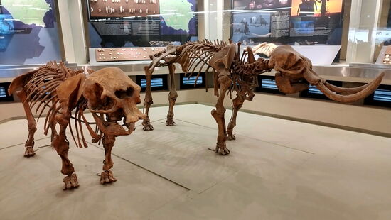 Im Archäologischen Museum von Syrakus