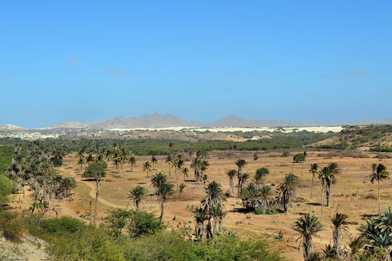 Blick über die Insel Boa Vista von Rabil aus