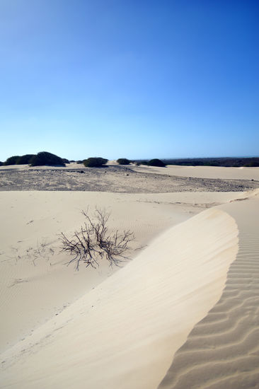 In der Wüste Deserto de Viana