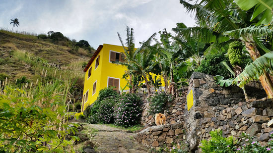 Farbklecks im Grünen - "Casa das Ilhas" im Paúl-Tal