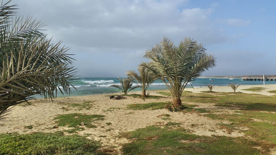 Strand von Santa Maria auf Sal am Morgen