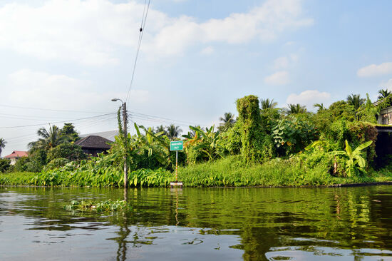 Üppiges Grün mitten in der Millionenmetropole Bangkok