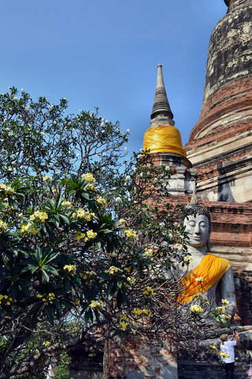 An der Großen Chedi des Wat Yai Chai Mongkol