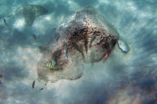 So ein Felsen zieht viele Besucher an!