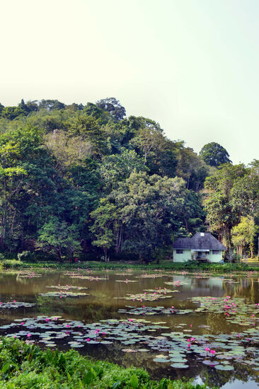 Lotosteich mit dem Parkzentrum des Naturparks Khao Phra Thaeo