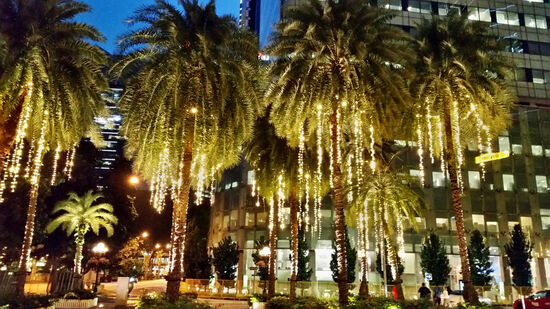 Weihnachtspalmen am Fullerton Hotel