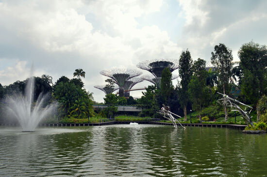 Dragonfly Lake in den Gardens by the Bay