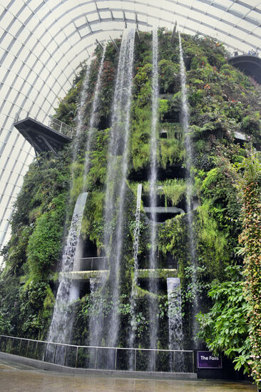 Der Wasserfall im Cloud Forest war einmal der höchste Indoor-Fall der Welt