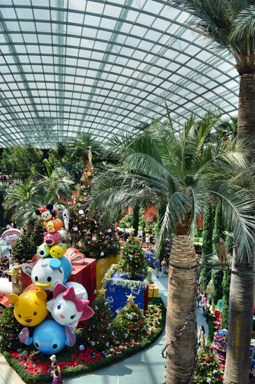 Zur Freude der asiatischen Besucher weihnachtet es sehr im Flower Dome