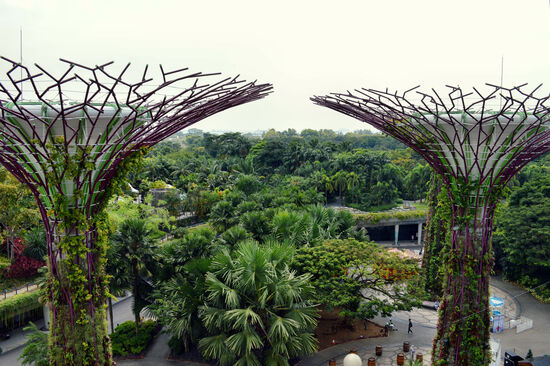 Die Supertrees sind in verschiedener Hinsicht super!