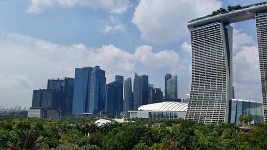 Ausblick vom Skyway zwischen den Supertrees