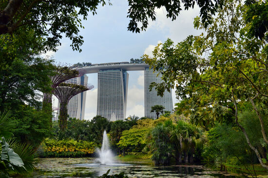 Blick über den Water Lily Pond zum Marina Bay Sands Hotel