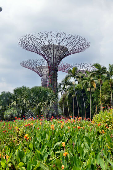 Die kleineren Supertrees am Dragonfly Lake