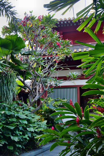 Dachgarten des Buddha Tooth Relic Temple