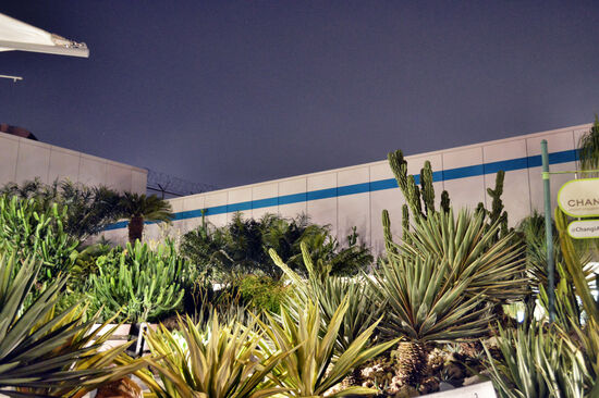 Selbst für Nichtraucher sehenswert: Kakteengarten am Changi Airport