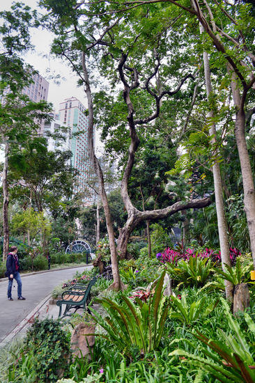 Grünes Paradies zwischen den Wolkenkratzern - zoologischer und botanischer Garten in Hongkong