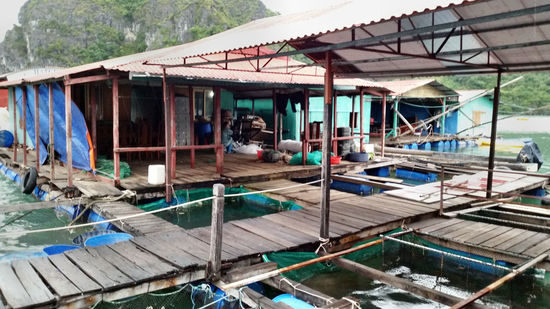 Auf der Perlenfarm in der Ha Long Bay