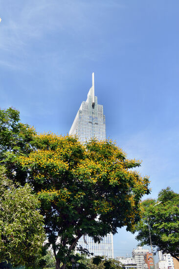 Blühende Bäume an der Promenade am Saigon River