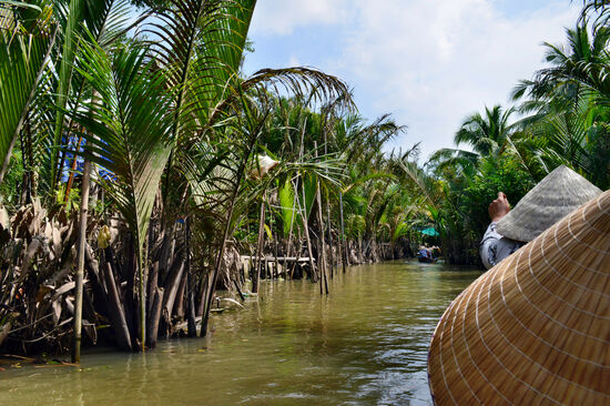 Im Ruderboot zwischen Palmen unterwegs