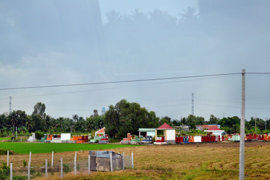 Reisernte zwischen dem Mekong und Saigon