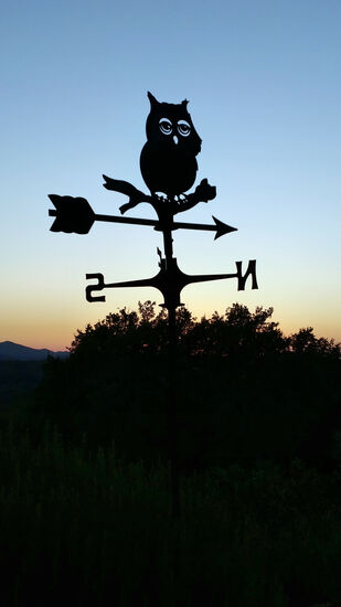 "Il Civettaio" - zu deutsch "Ort der Eulen" - macht seinem Namen alle Ehre, denn Eulen findet man hier überall.