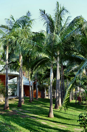 Hier fühlen wir uns wohl - die Anlage der "Cases Couleurs" ist ein kleines, gepflegtes Paradies.