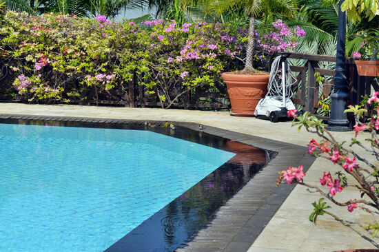 Gefiederte Badegäste